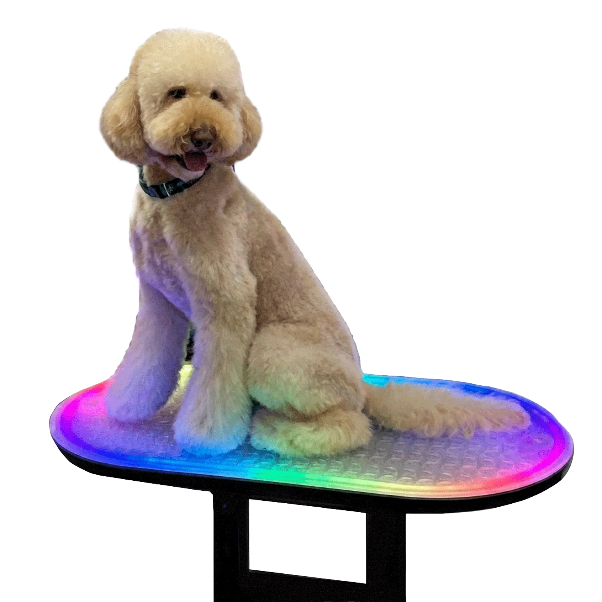Multi-Color LED Light for TZGroom Table