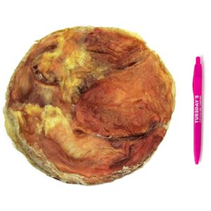 Tremenda Disc Chews - 3 Pack