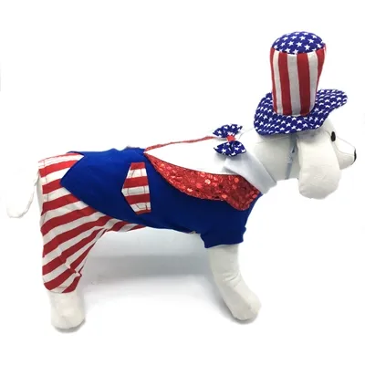 Uncle Sam Costume - Image 2