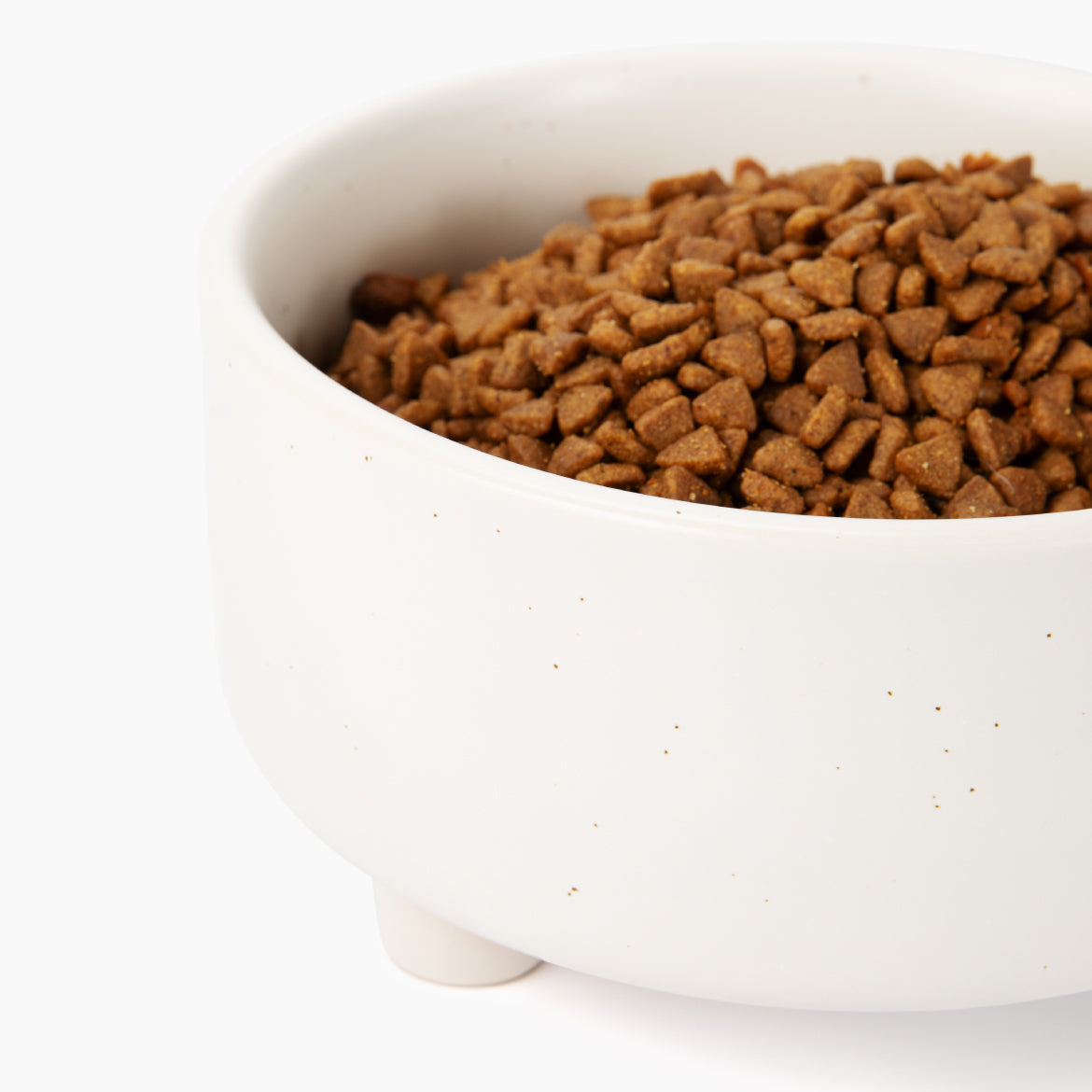 Uplift Bowl Ceramic Dog Bowl - Waggo