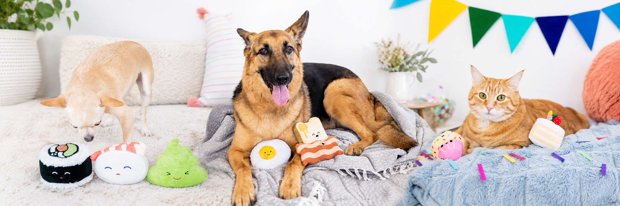 Pet Toys