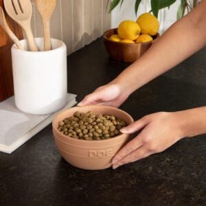 Farmhouse Ceramic Dog Bowl - Waggo 