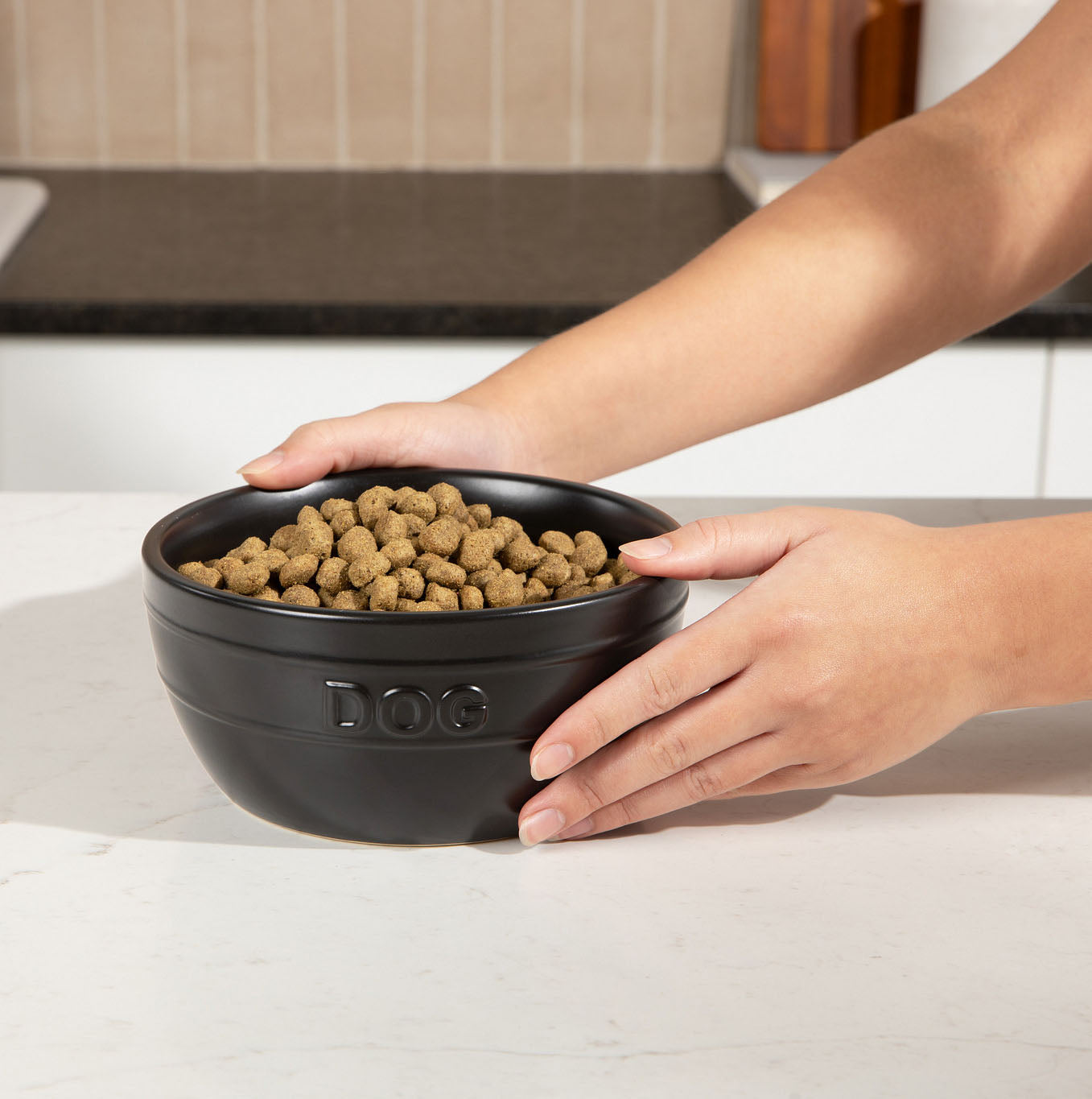 Farmhouse Ceramic Dog Bowl - Waggo