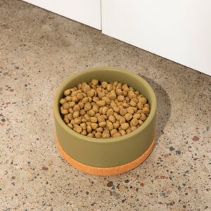 Corky Ceramic Dog Bowl - Waggo 