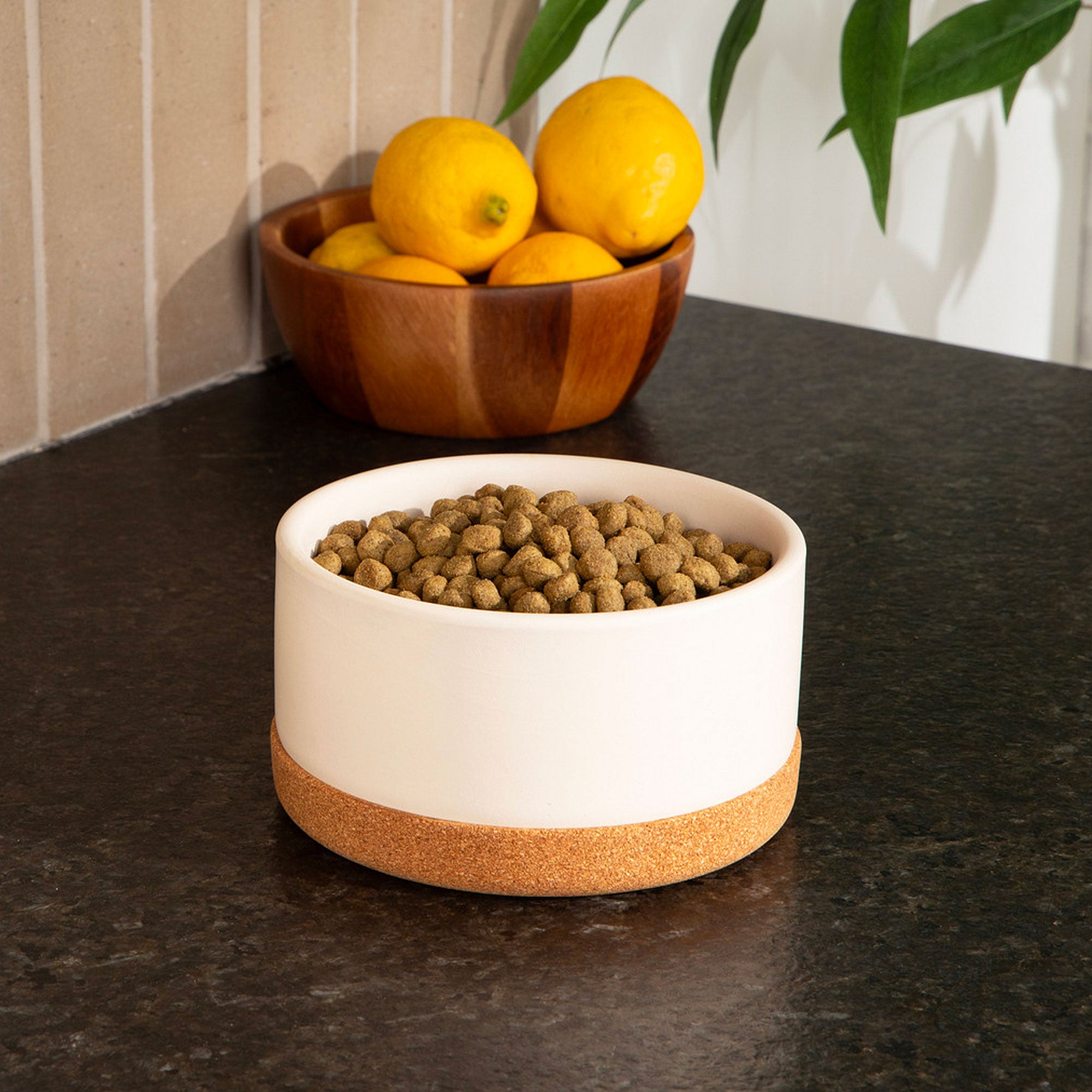 Corky Ceramic Dog Bowl - Waggo
