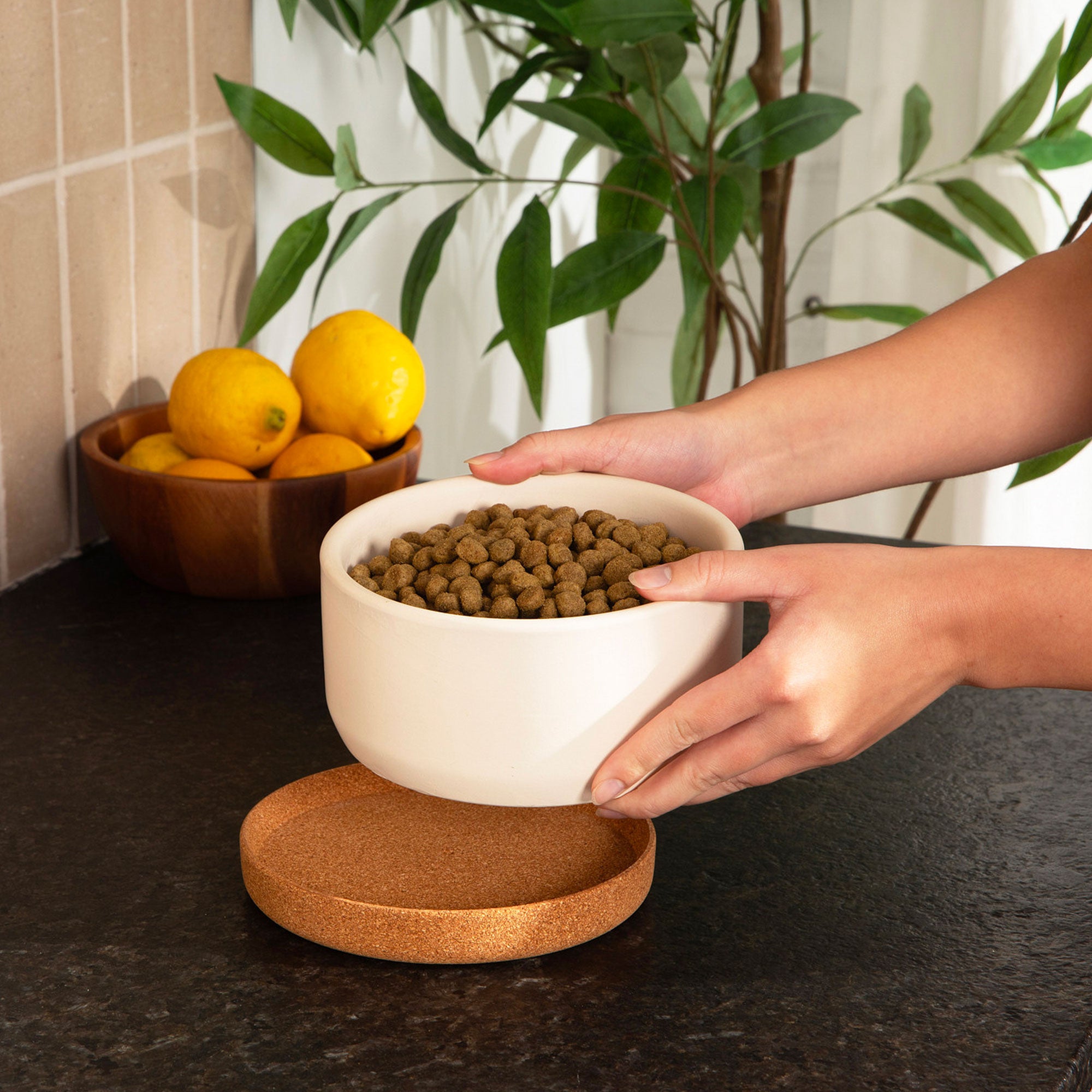 Corky Ceramic Dog Bowl - Waggo