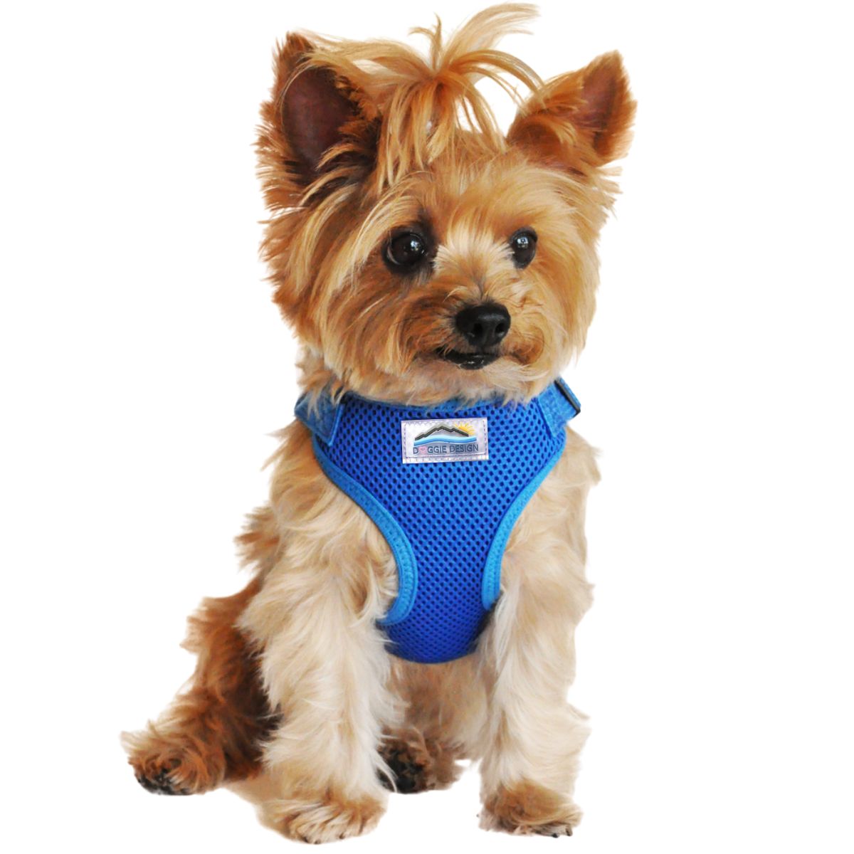 Solid Color Mesh Wrap and Snap Choke Free Step In Harness - Cobalt Blue - Image 2