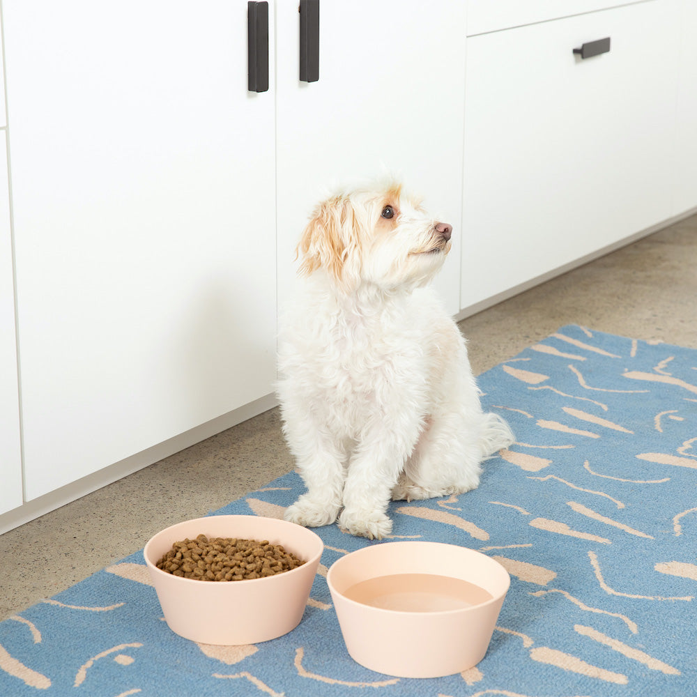 Habit Silicone Dog Bowl - Waggo