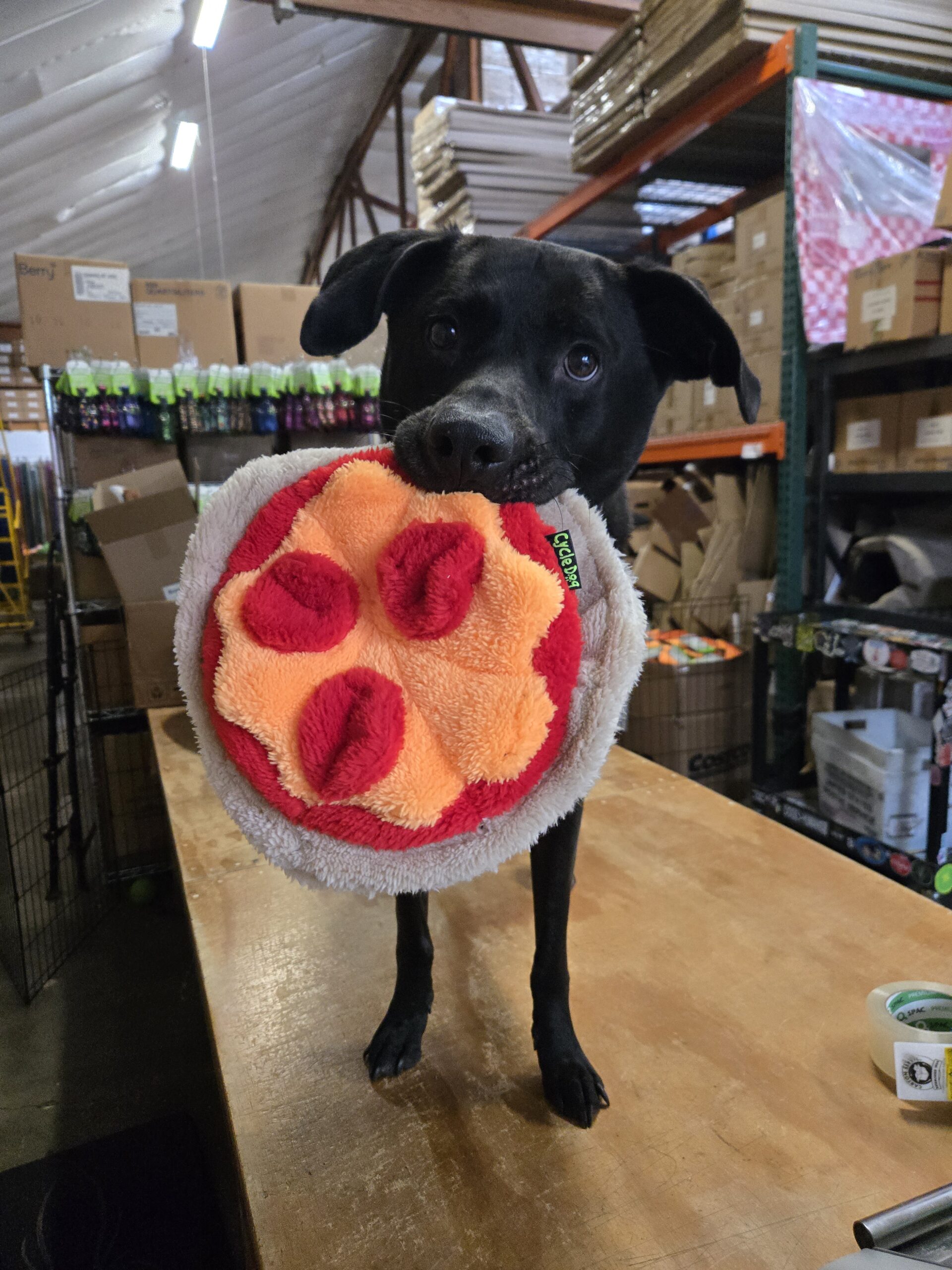 Duraplush Flying Pizza - Image 2