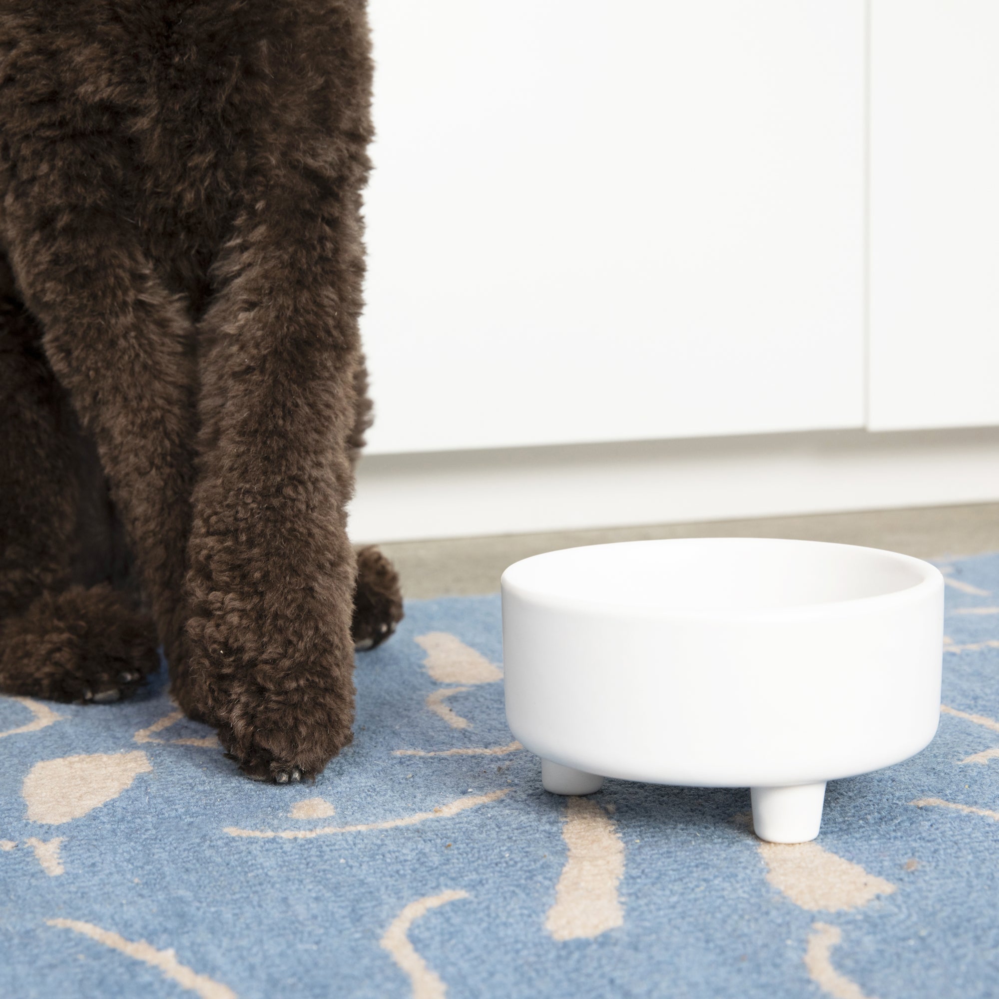 Uplift Bowl Ceramic Dog Bowl - Waggo