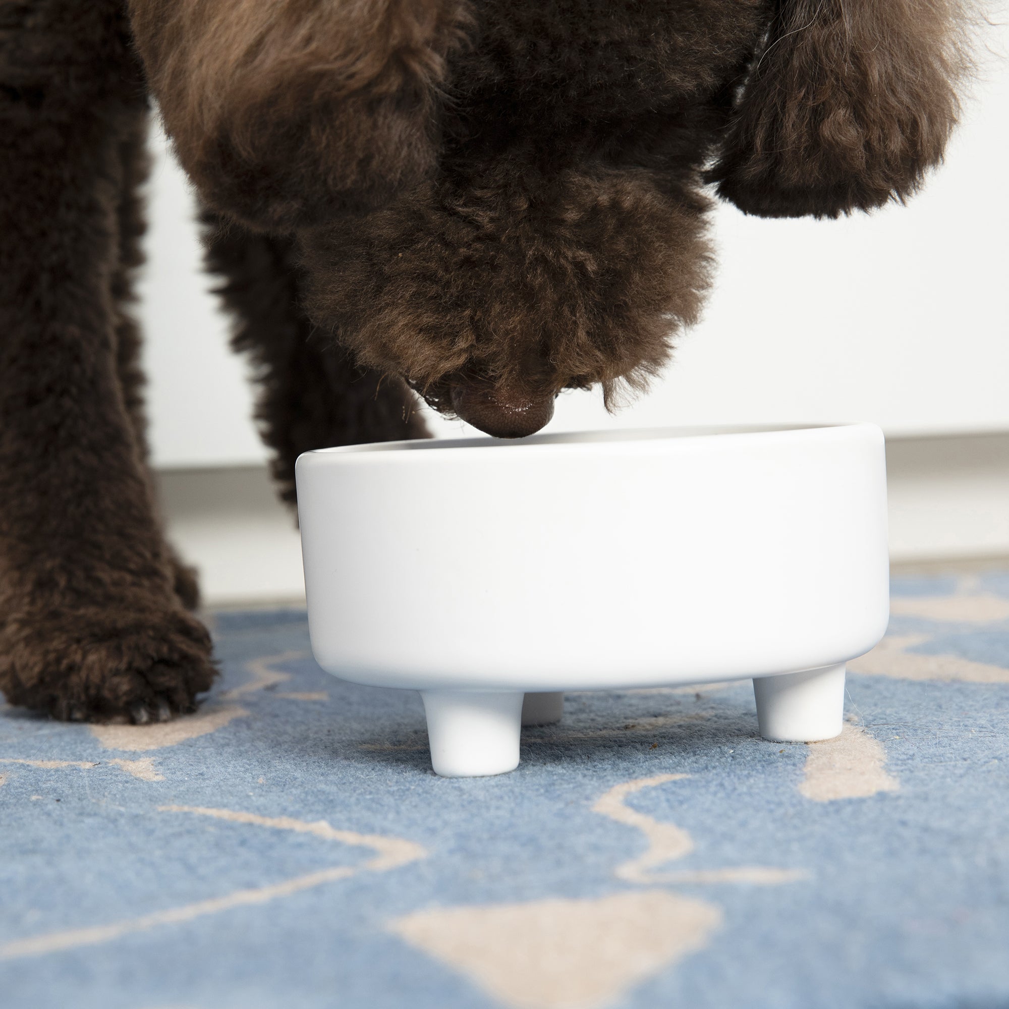 Uplift Bowl Ceramic Dog Bowl - Waggo