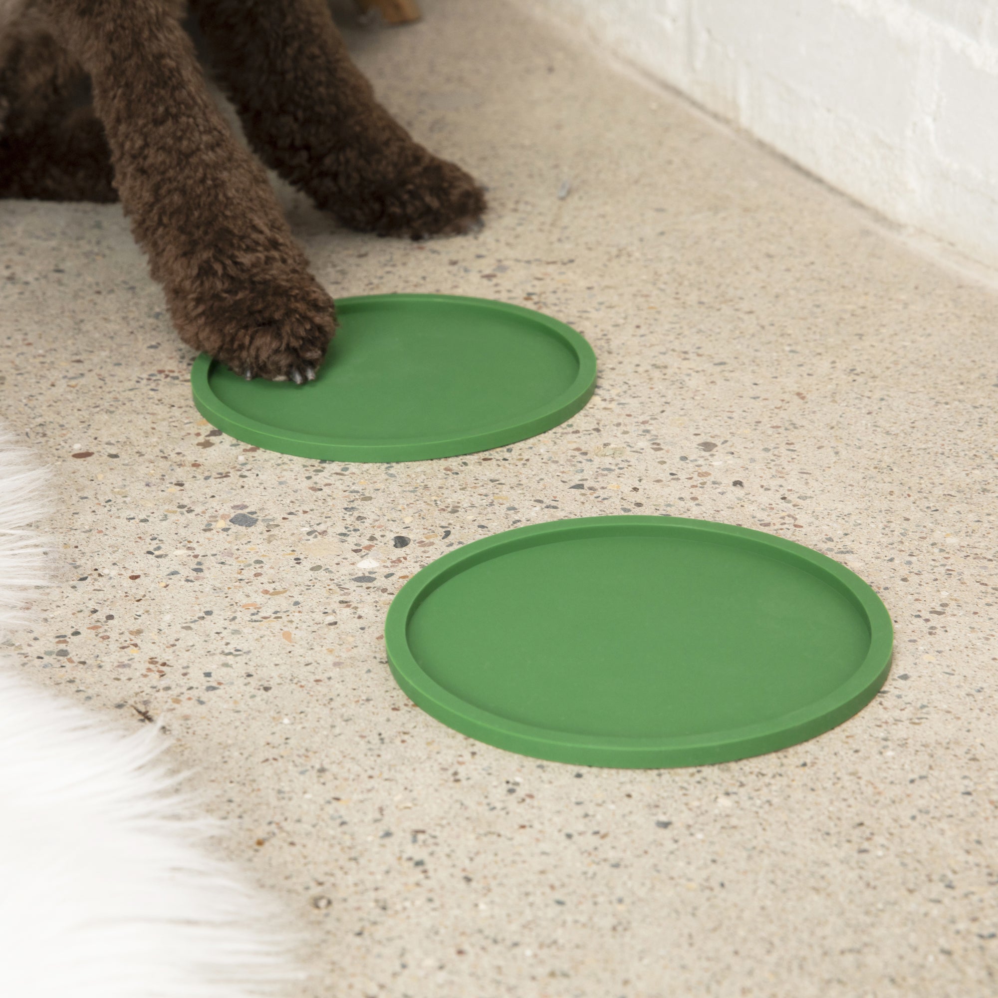 Habit Circle Dog Placemat - Set of 2 - Waggo