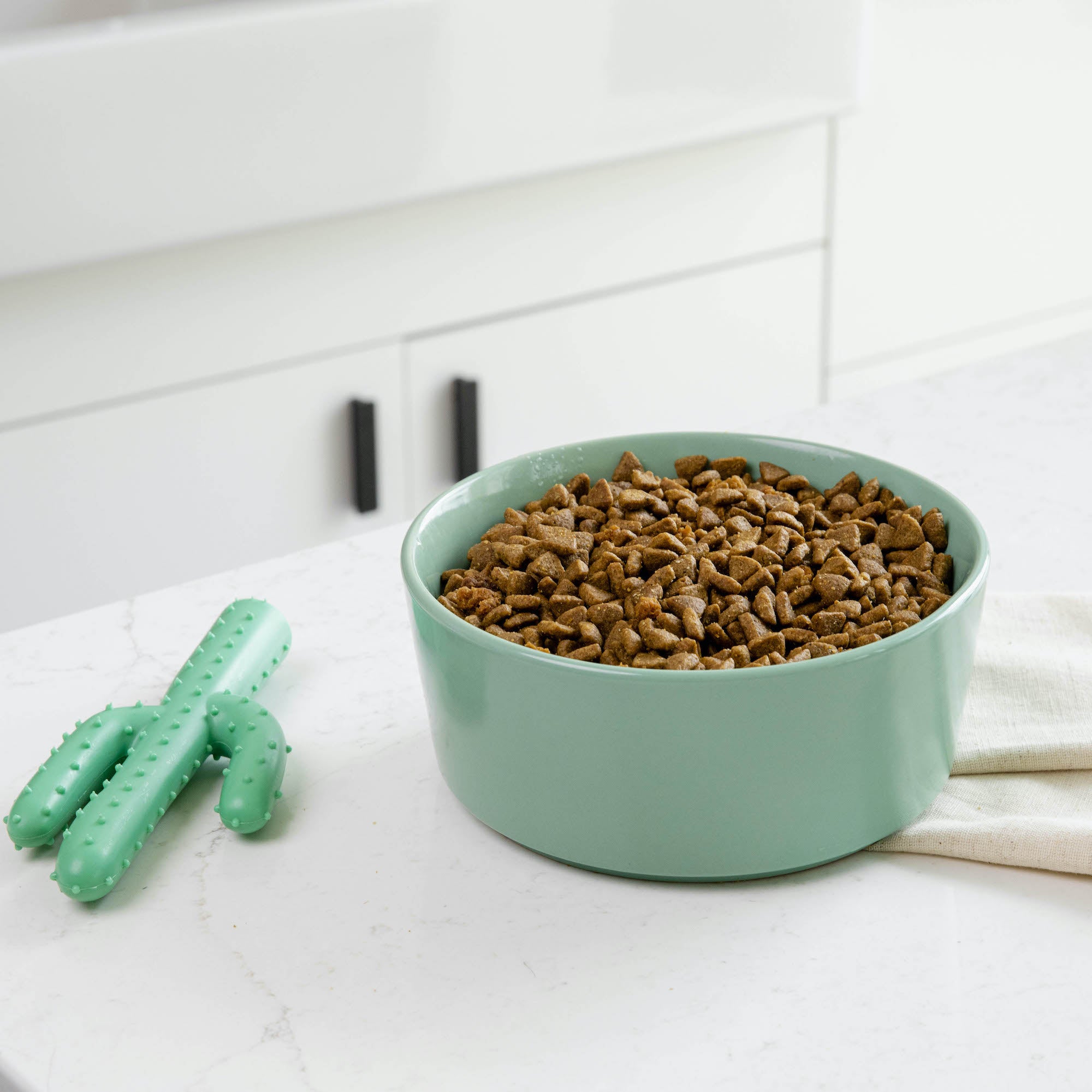 Simple Solid Bowl - Waggo