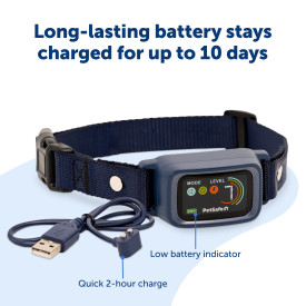 PetSafe Core Digital Dog Bark Collar - Image 5