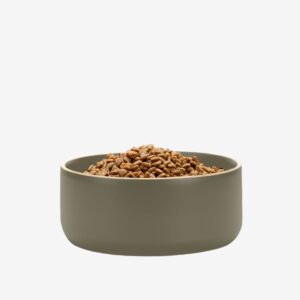 Edge Ceramic Dog Bowl - Waggo 