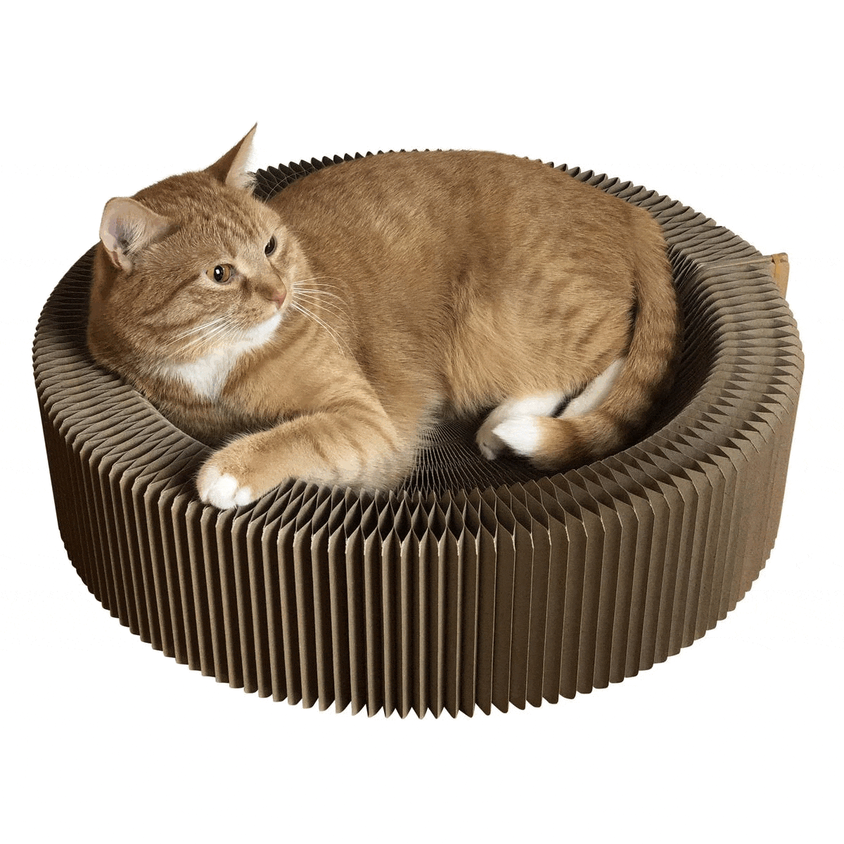 "The Accordion" Travel Cardboard Bed & Scratcher - Image 7