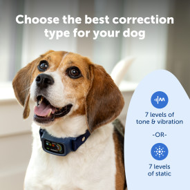 PetSafe Core Digital Dog Bark Collar - Image 3