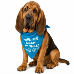 Have You Seen My Balls? Bandana - Assorted Colors