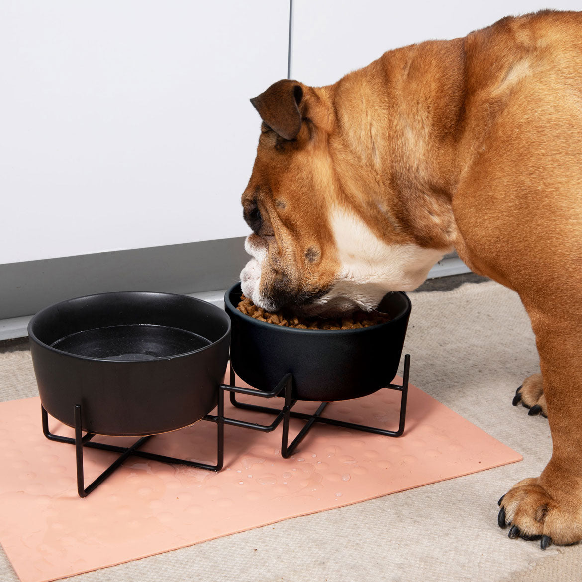 Simple Solid Double Feeder Bowl + Dog Bowl Stand - Waggo