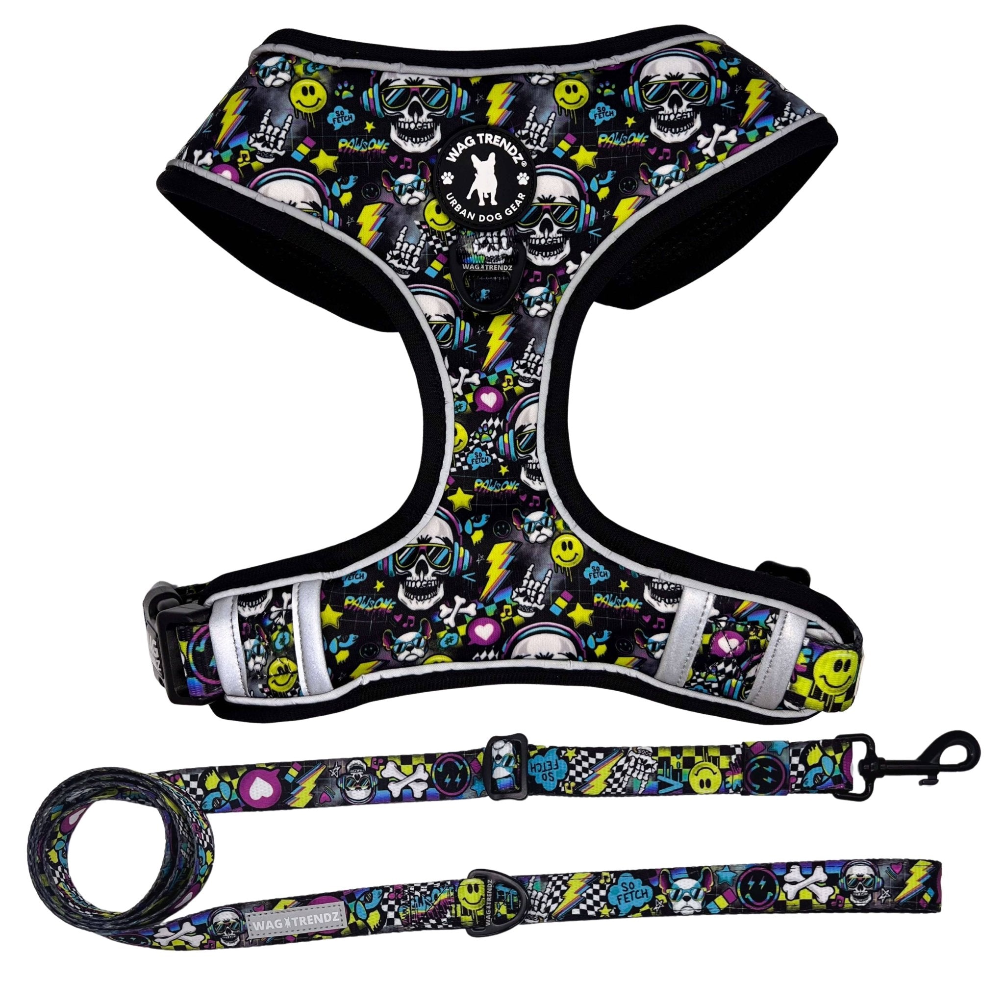 Leash and Harness Set - Skull Society - No Pull Dog Harness and matching adjustable dog leash against solid white background | Wag Trendz