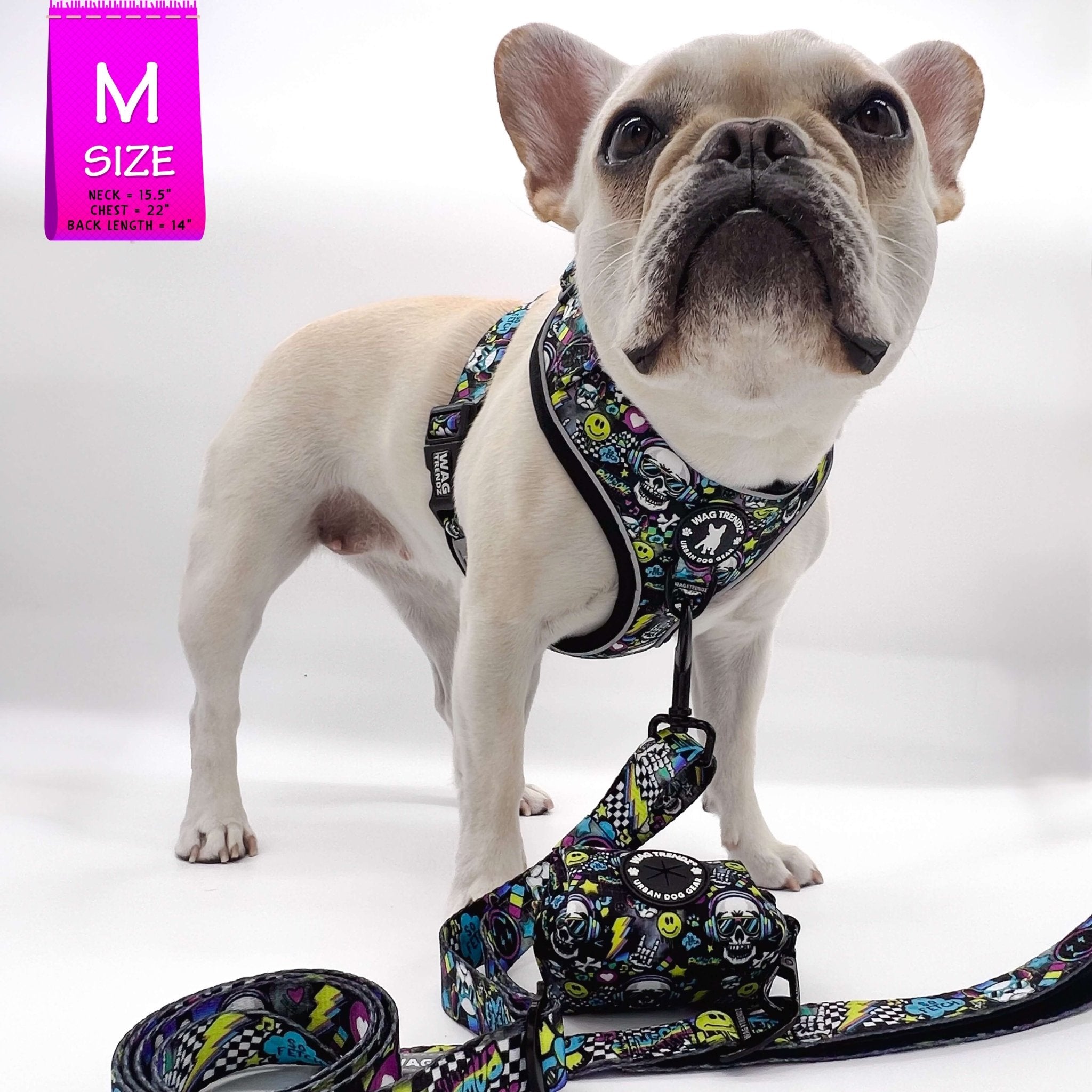 Leash and Harness Set - French Bulldog wearing Skull Society no Pull Dog Harness with matching leash and poop bag holder against solid white background | Wag Trendzb