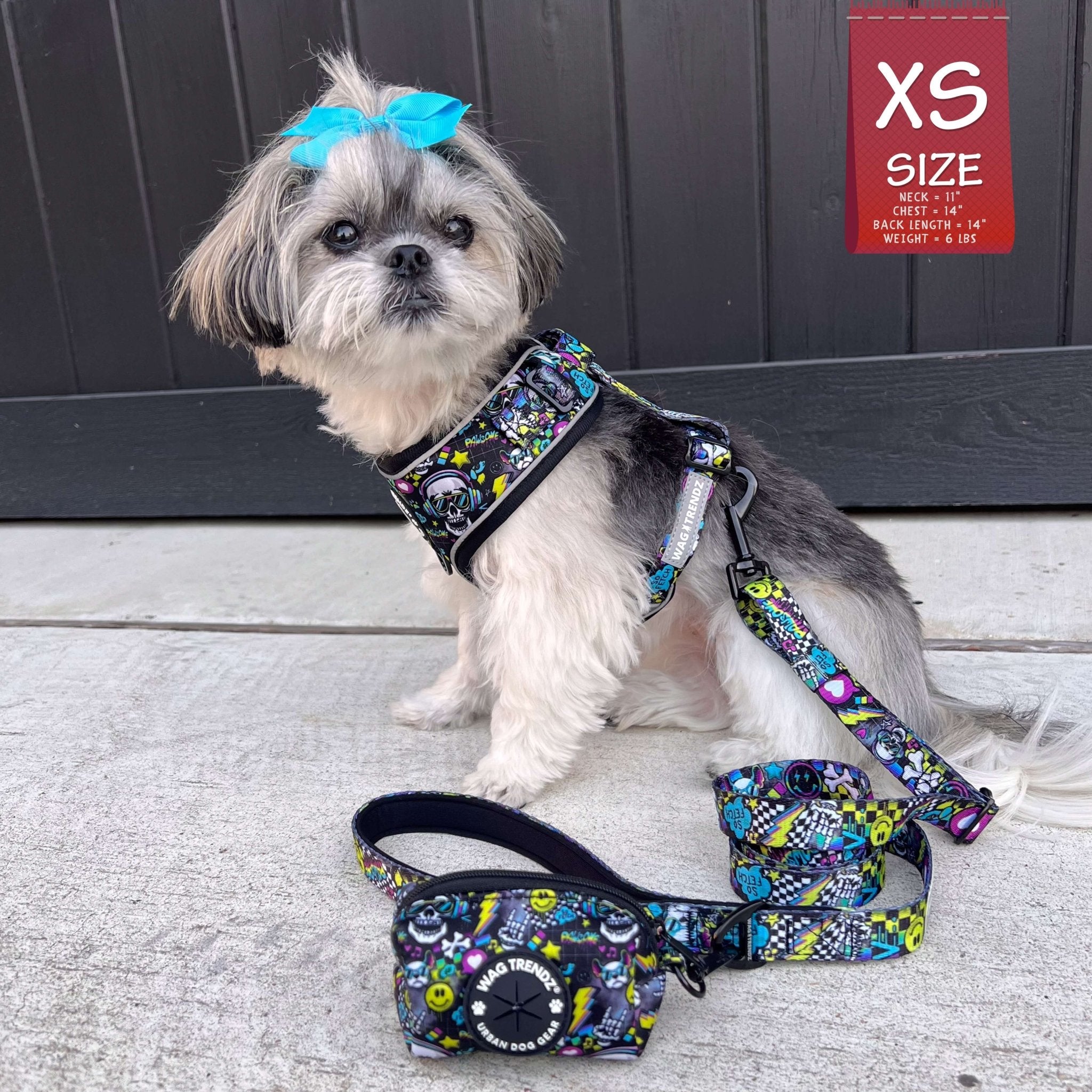 Leash and Harness Set - Shih Tzu mix wearing Skull Society no Pull Dog Harness with matching leash and poop bag holder - sitting outdoors with black door in background | Wag Trendz