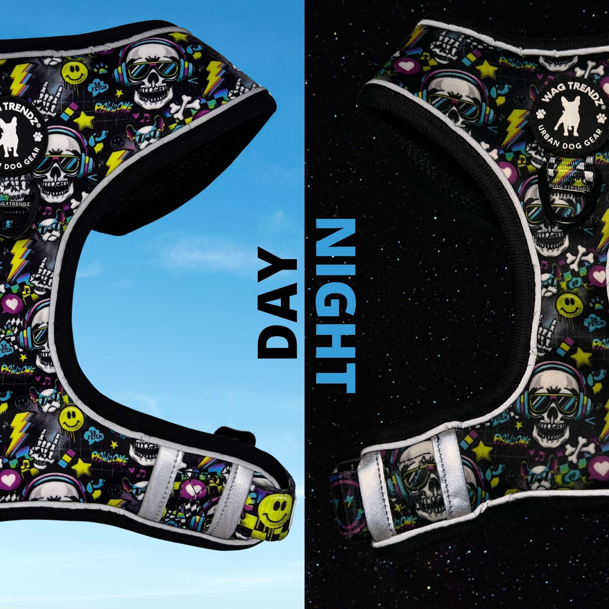 Leash and Harness Set - Skull Society - No Pull Dog Harness - showing Day and Night Reflection | Wag Trendz