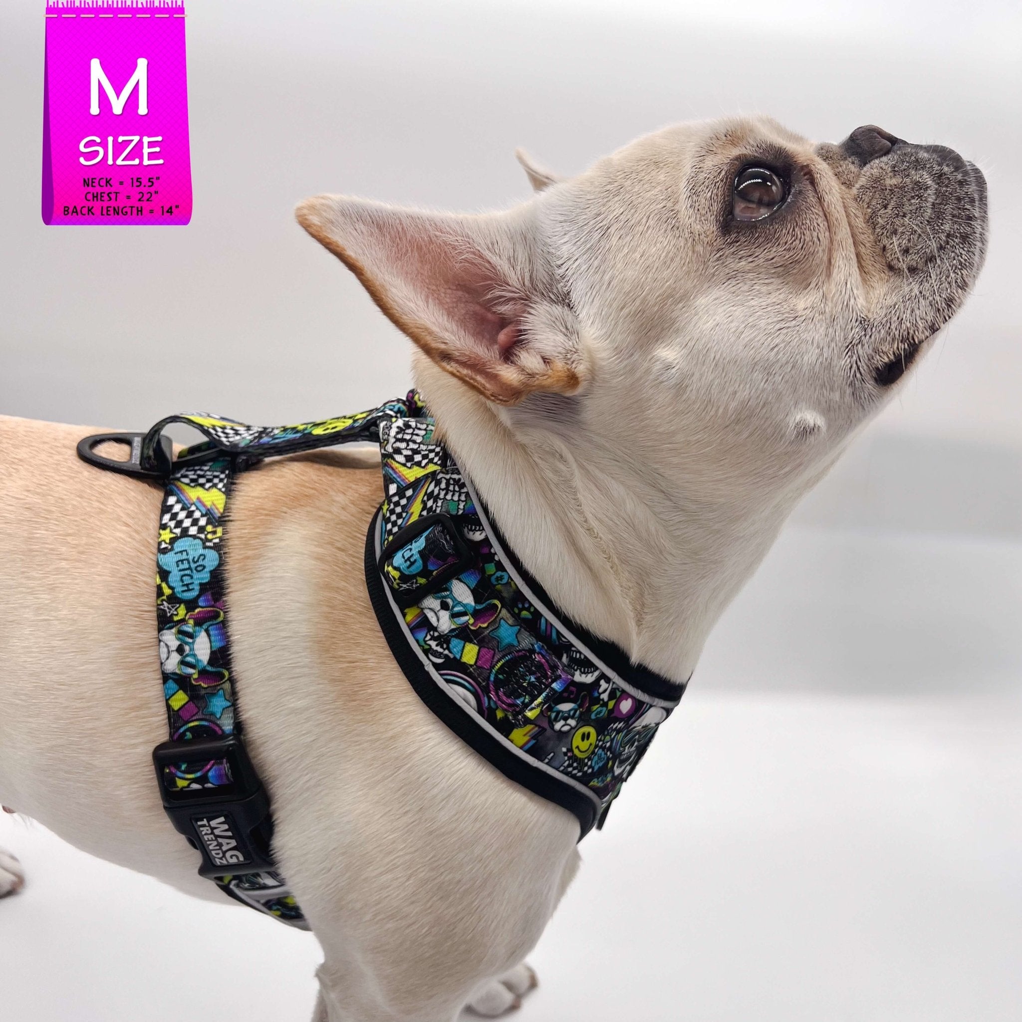Leash and Harness Set - French Bulldog wearing Skull Society no Pull Dog Harness against solid white background | Wag Trendz