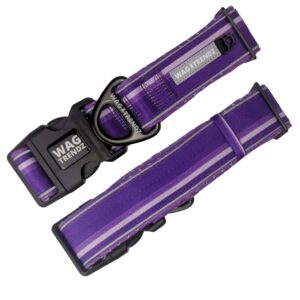 NeoCool™ Sport Reflective Dog Collar in Purple with medium and light purple stripe and black hardware with white background