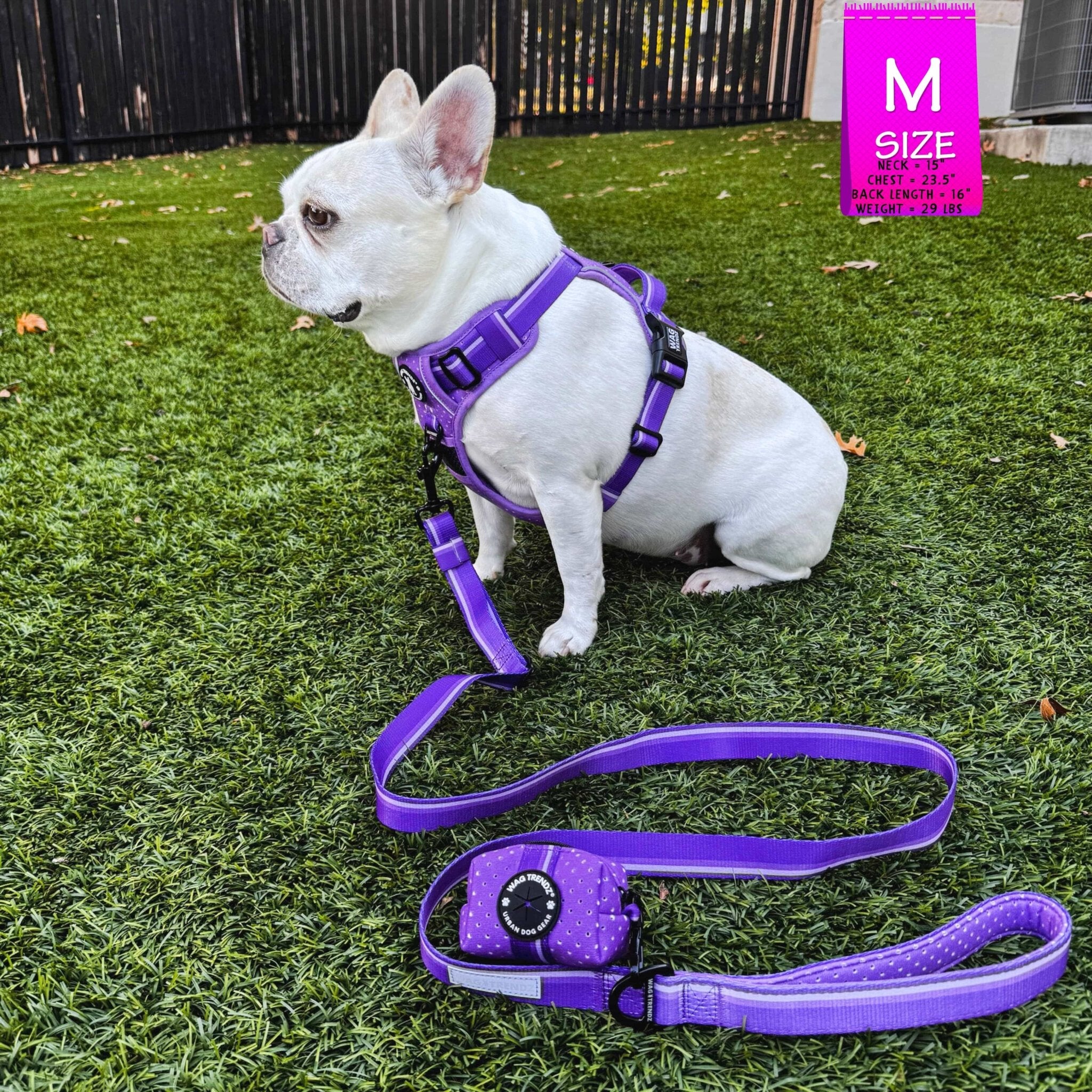 NeoCool™ Sport Dog Harness with Handle in purple worn by a French Bulldog with matching leash on a grass background with a 'M' size label in the corner.