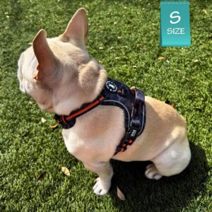 French Bulldog wearing a no pull dog harness on grass with a small size label in the corner.