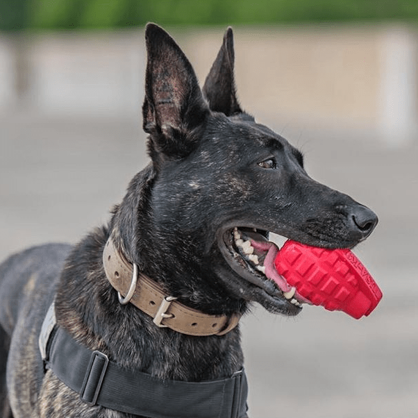 SodaPup USA-K9 Grenade Shaped eDispenser Durable Dog Chew Toy & Treat Dispenser Magnum Black