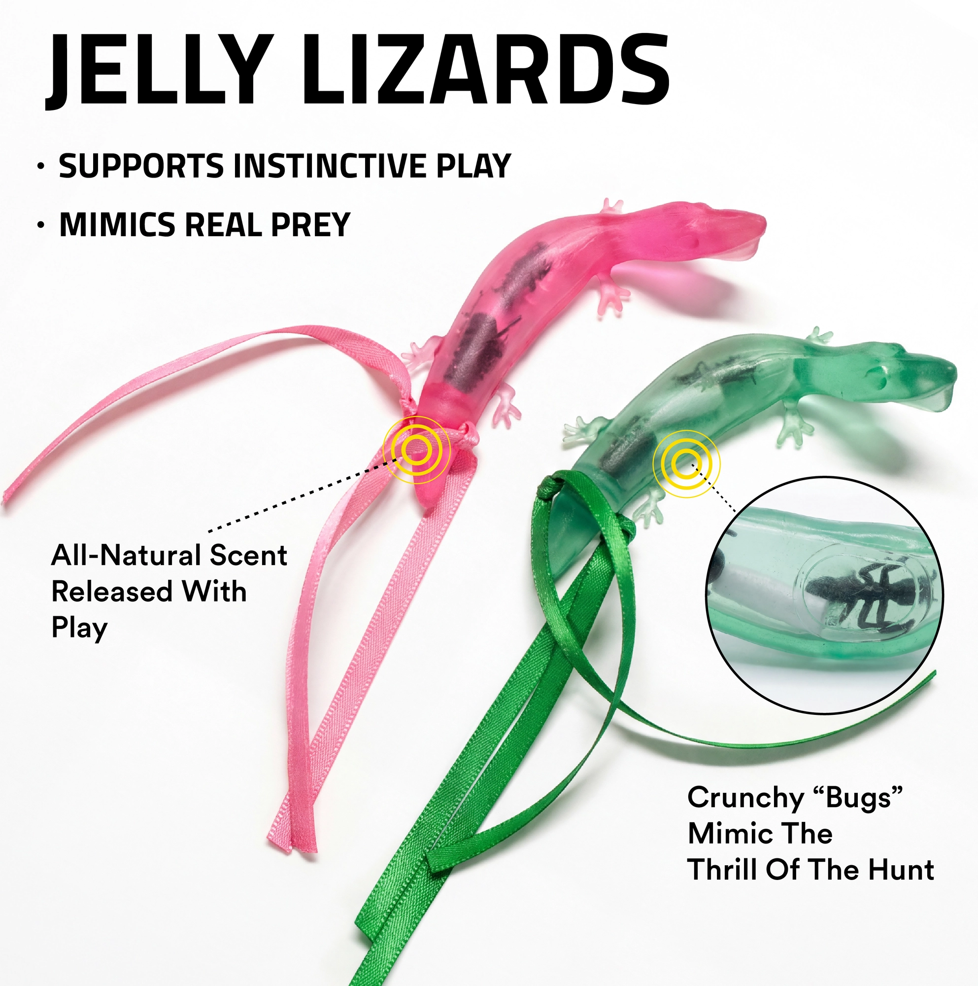 PLAYOLOGY CAT - LIZARDS WITH BUGS - 2-PACK - Image 3