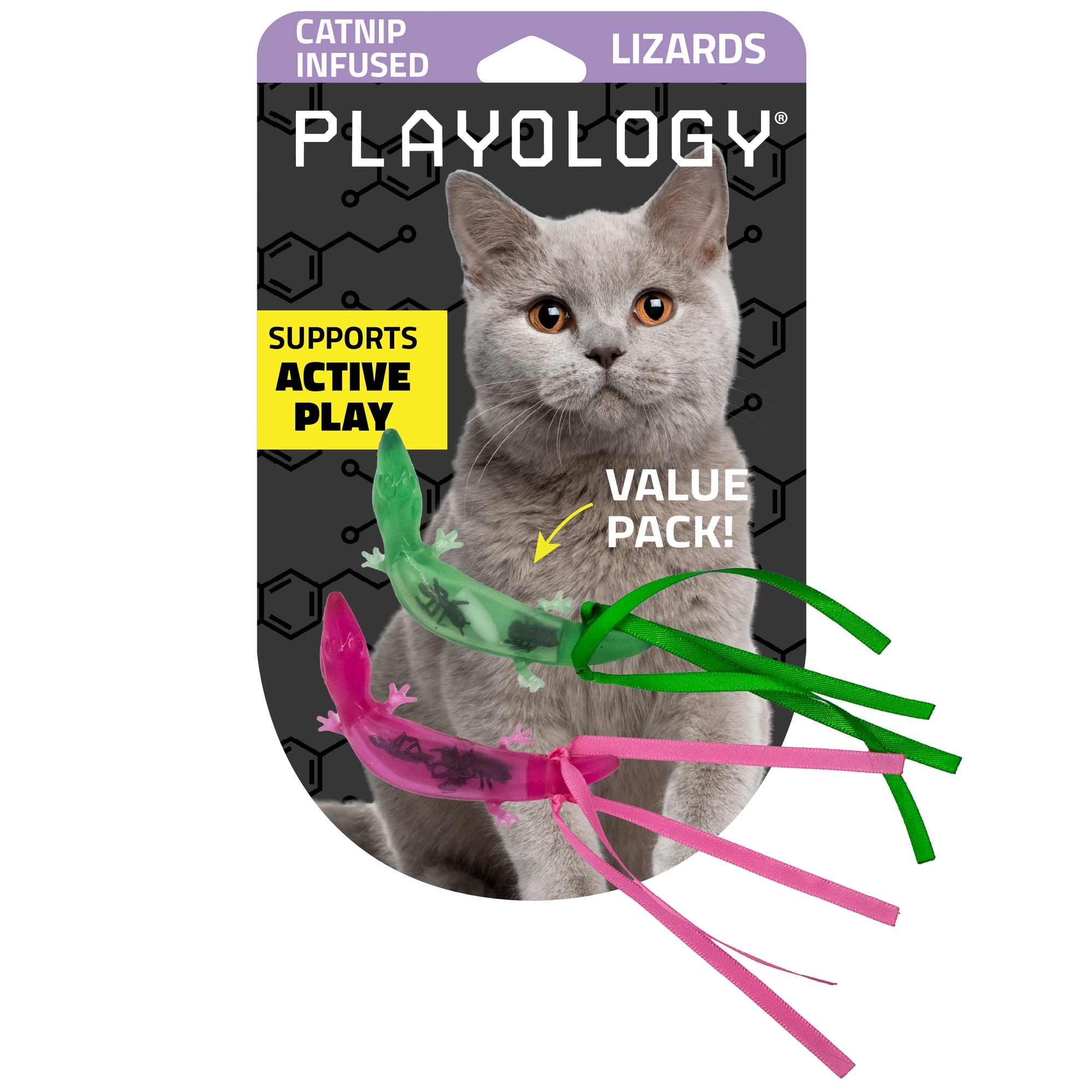 PLAYOLOGY CAT - LIZARDS WITH BUGS - 2-PACK