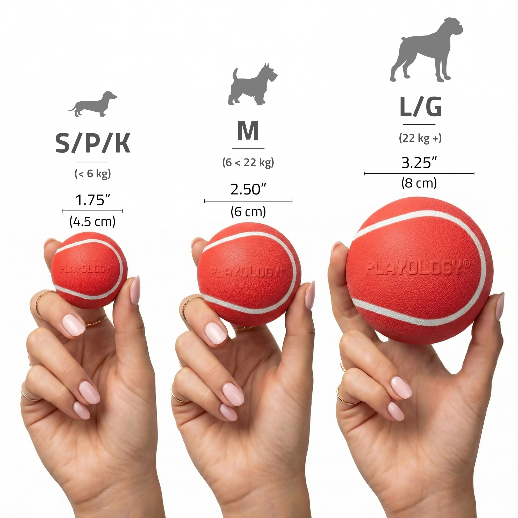 SQUEAKY CHEW BALL BEEF MD - Image 2