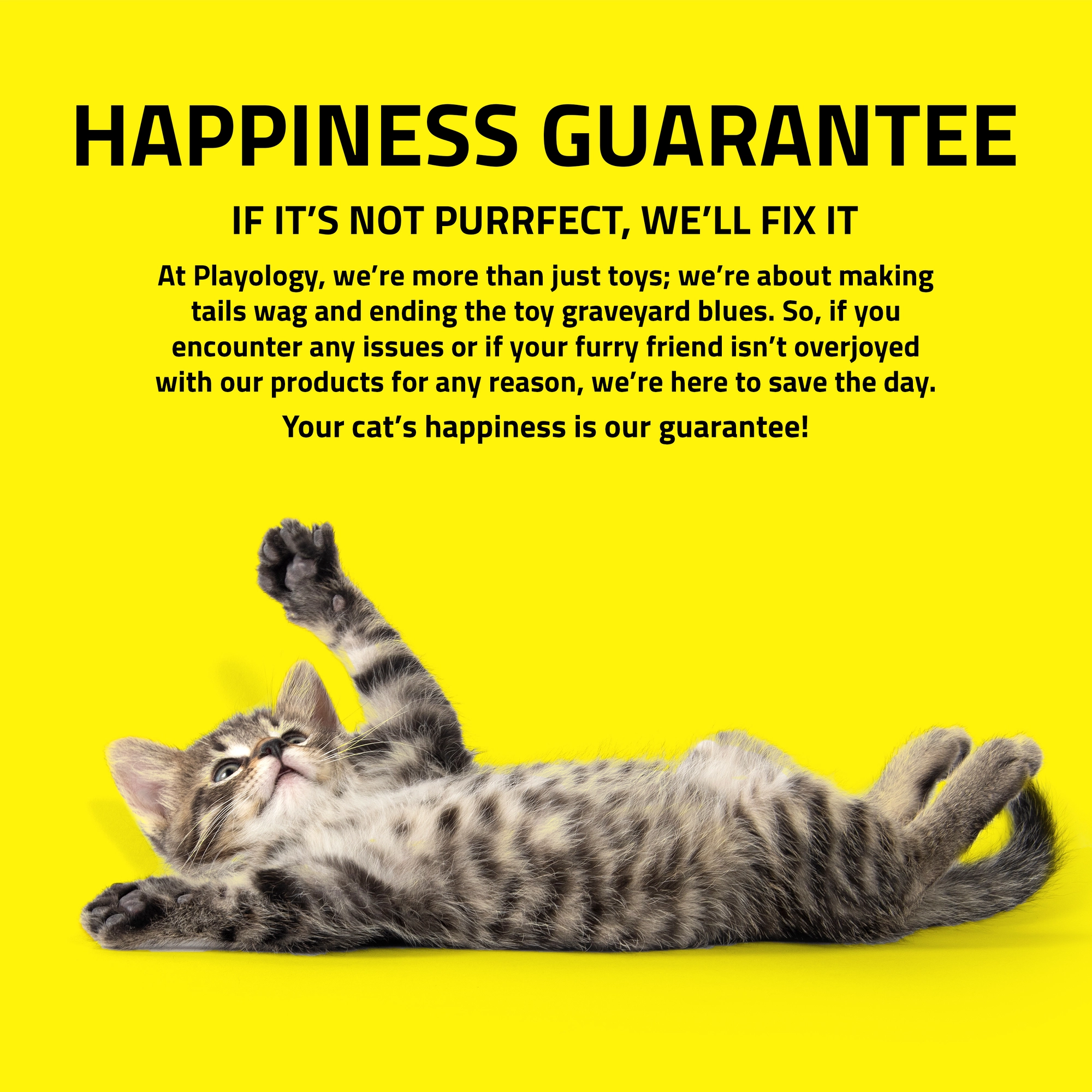 PLAYOLOGY CAT - TEETER TOTTER WITH FEATHER - Image 6