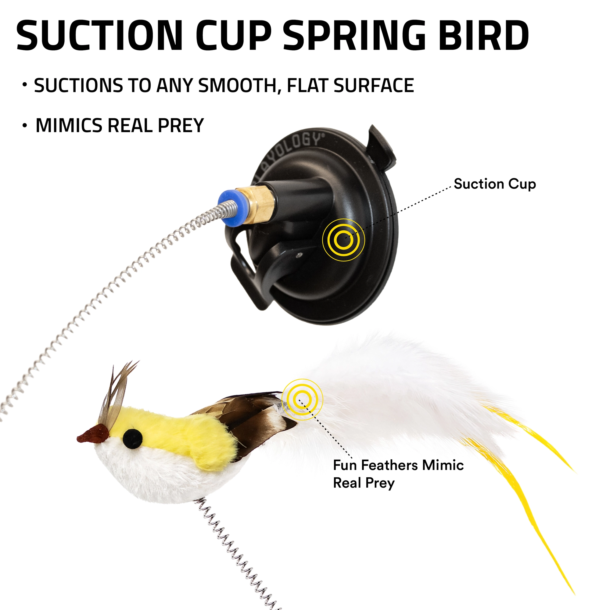 PLAYOLOGY CAT - SUCTION CUP SPRING BIRD - Image 4