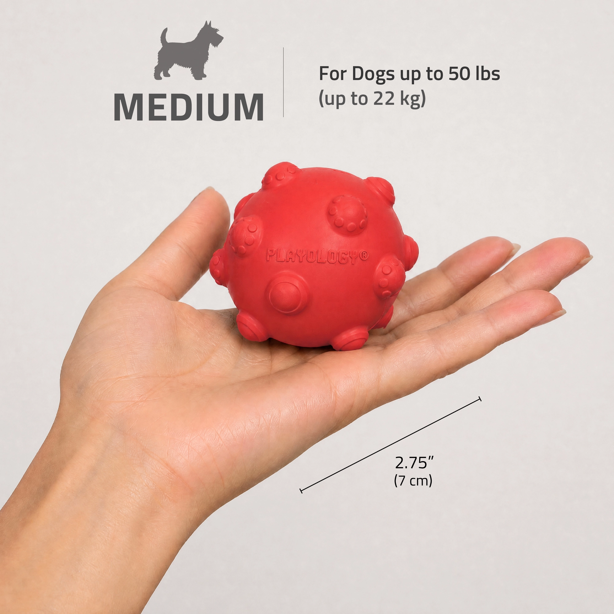 TEETHING BALL BEEF - Image 2