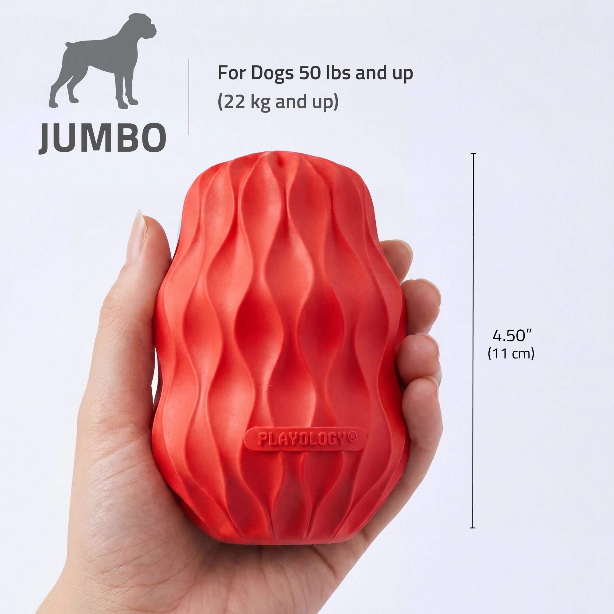SQUEAKY PINECONE BEEF - JUMBO - Image 2