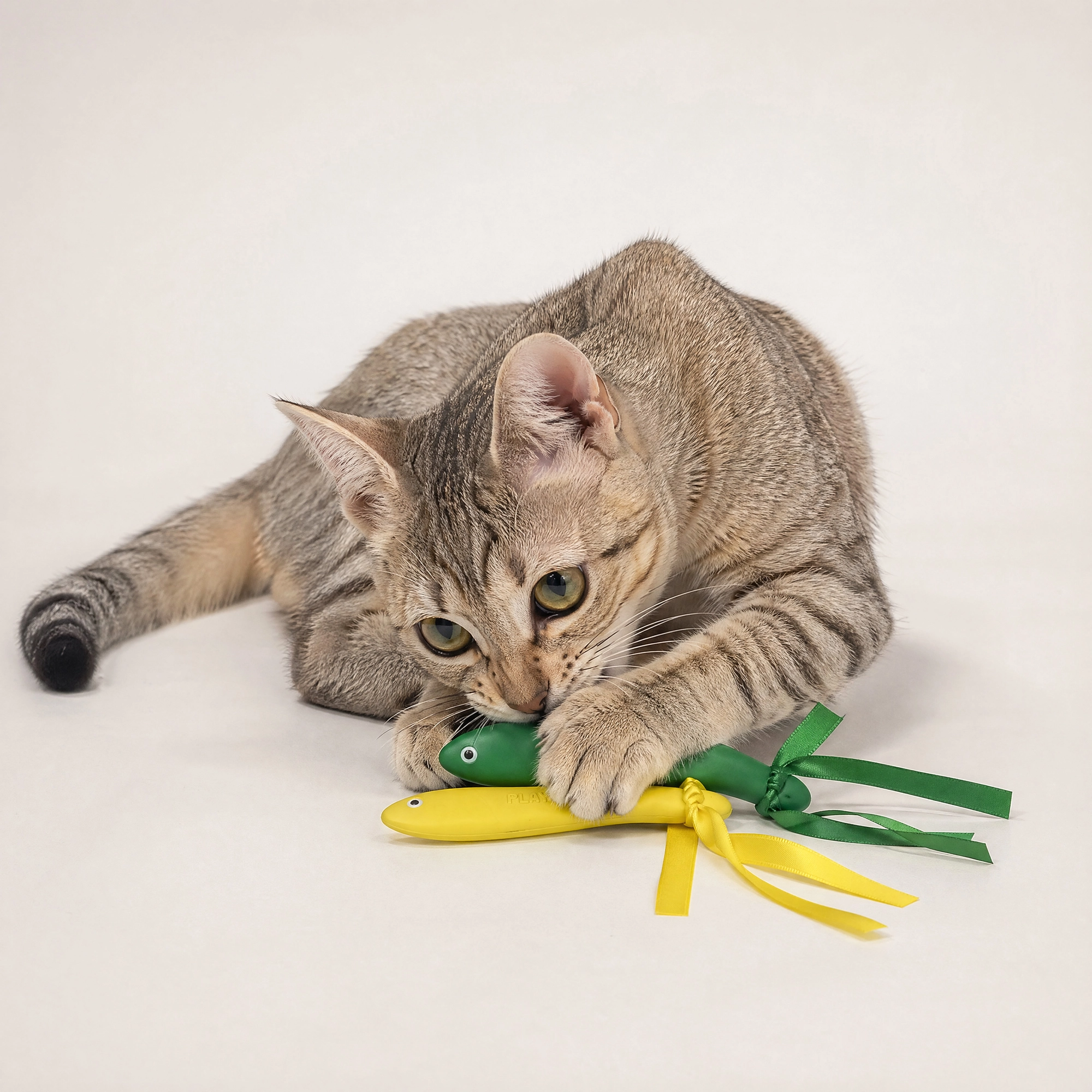 PLAYOLOGY CAT - MINNOWS - 2-PACK - Image 2