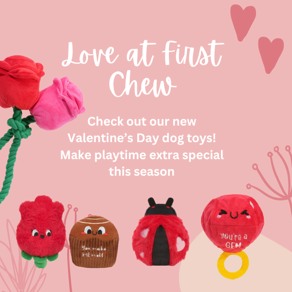 Valentine's Toys