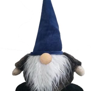 19" GNOME -BLUE