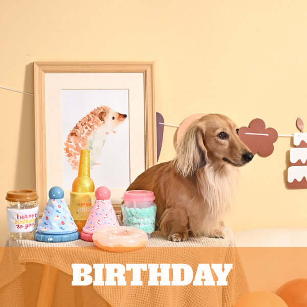 Birthday Toys