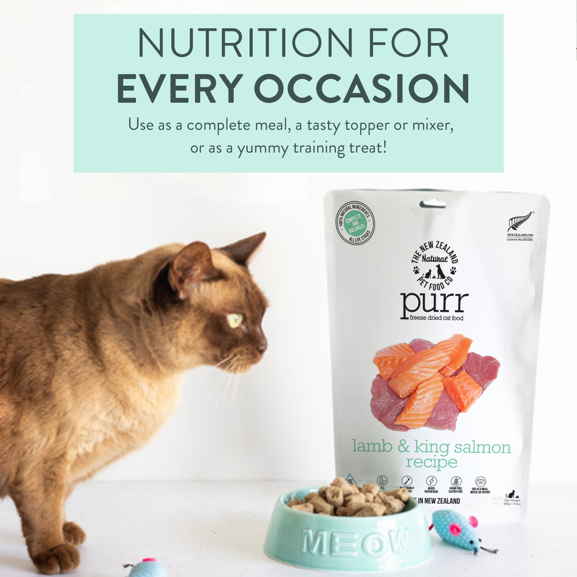 PURR LAMB & KING SALMON Freeze Dried Cat Food - Image 7