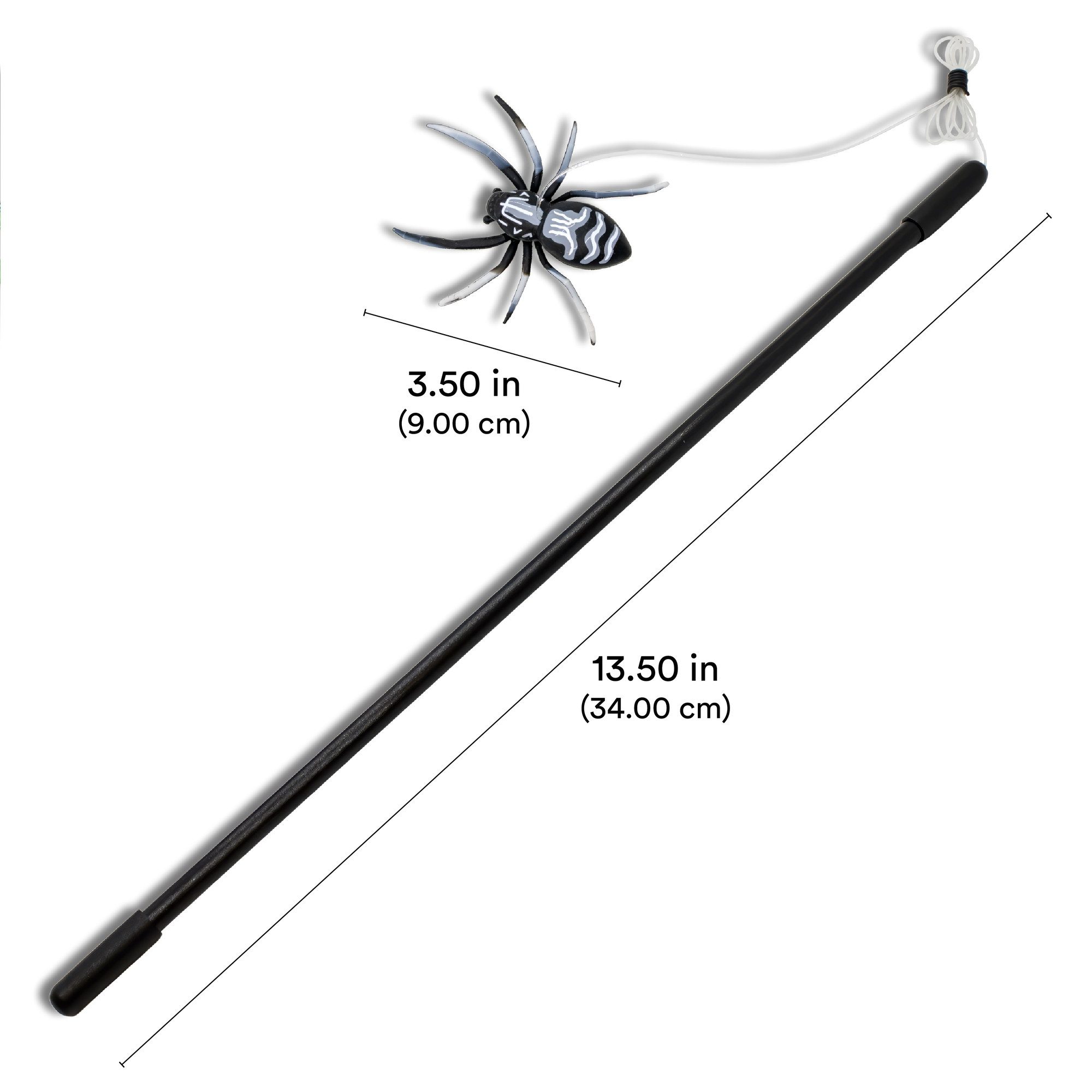 PLAYOLOGY CAT - SPIDER TEASER - Image 2