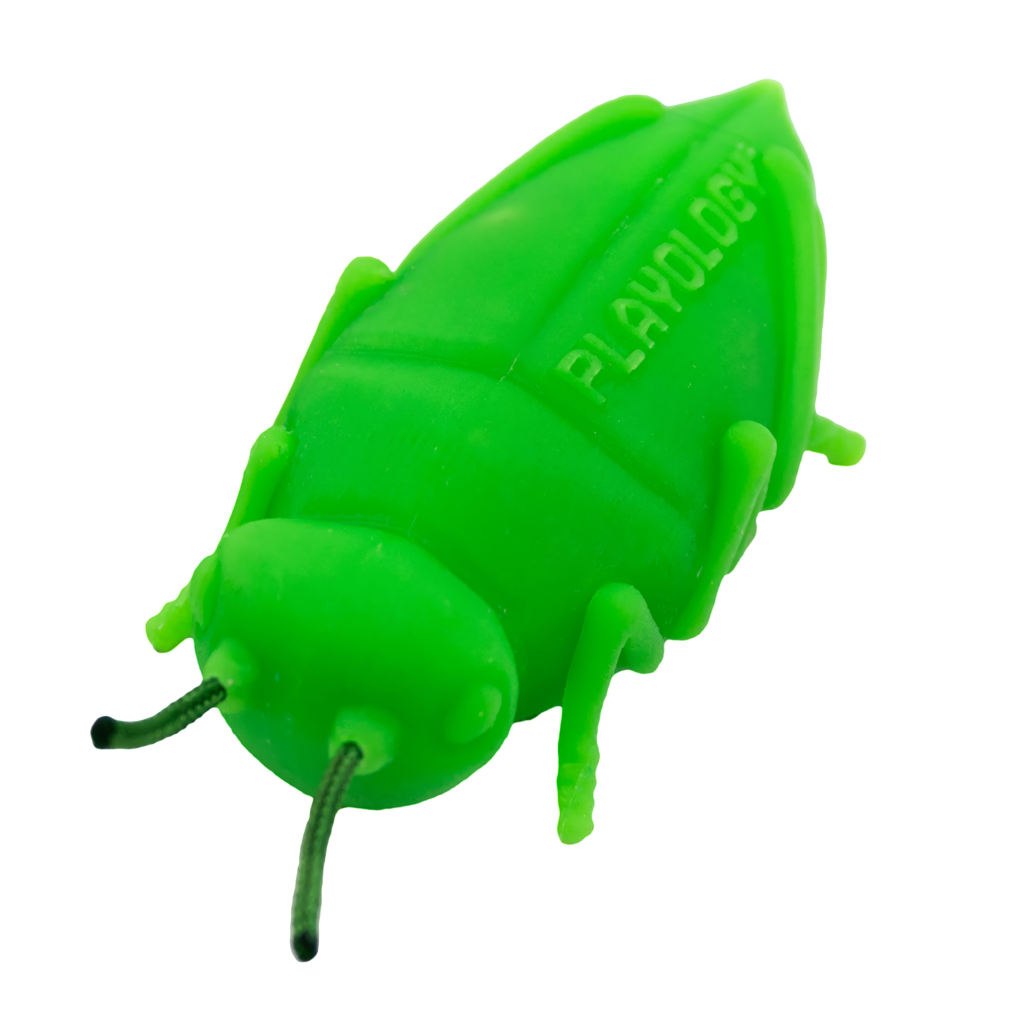 PLAYOLOGY - CAT - CHIRPING GRASSHOPPERS - 2-PACK - Image 4