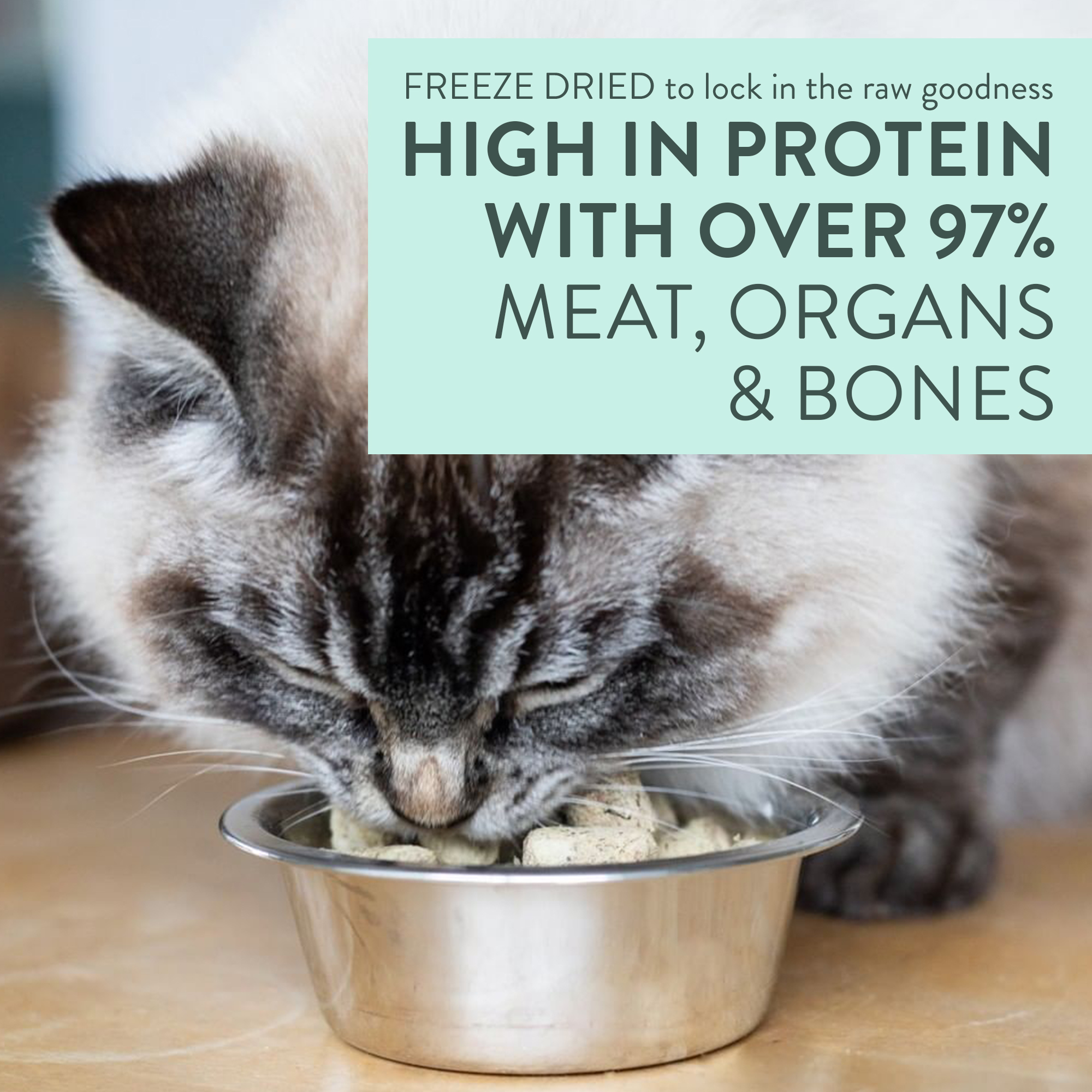 PURR WILD VENISON Freeze Dried Cat Food - Image 6