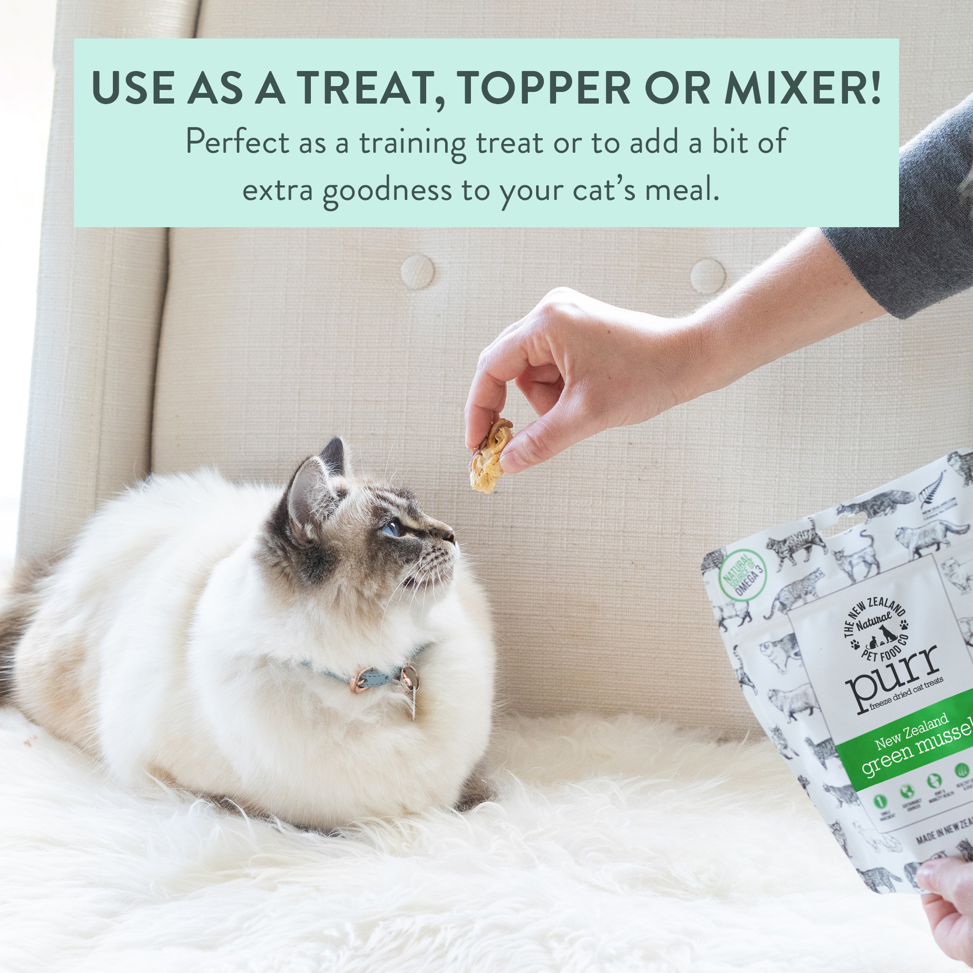 PURR NZ Green Mussel Freeze Dried Cat Treats - Image 4