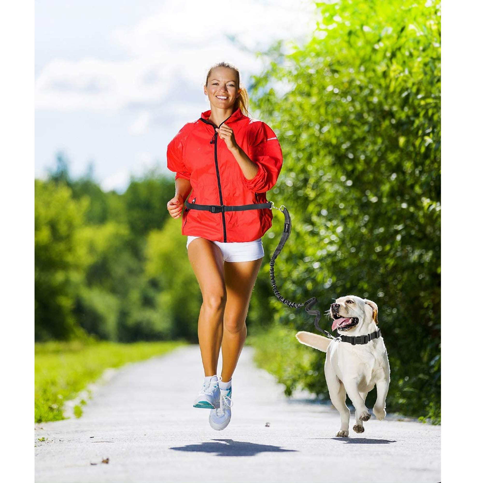 GOOPAWS No Pull Hand Free Bungee Dog Leash for Hiking, Running, Blue - Image 5