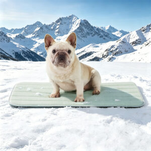 GOOPAWS Dog Cooling Mat, 30" x 20" Non-Slip Self-Cooling Summer Pet Mat for Indoor Outdoor Kennel Floor Use, Green